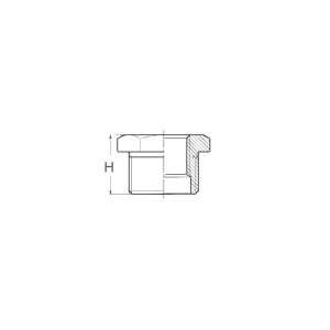 Nipless ridotto m-f da 1′ a 1/2 - Ricambi Nautici Boranautica